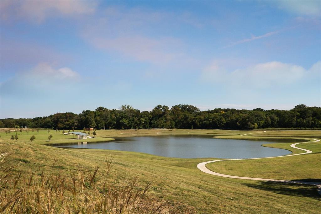 Trinity Falls Planning Unit 2 #1c - Residential