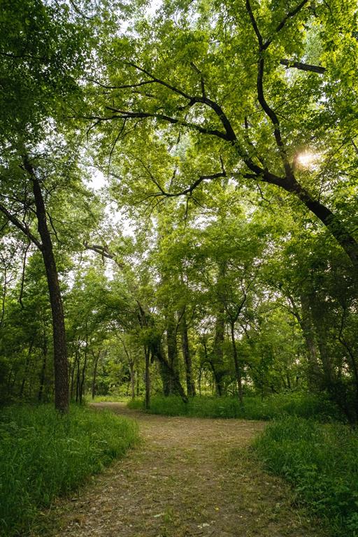 Trinity Falls Planning Unit 2 #1c - Residential