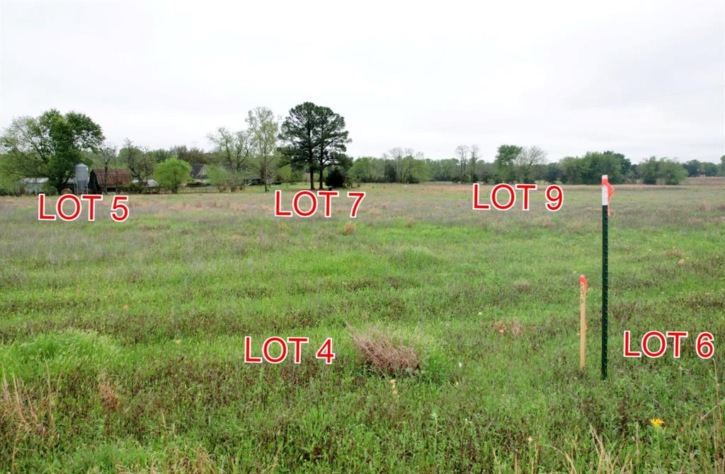 TBD Lot 7 County Road 4286