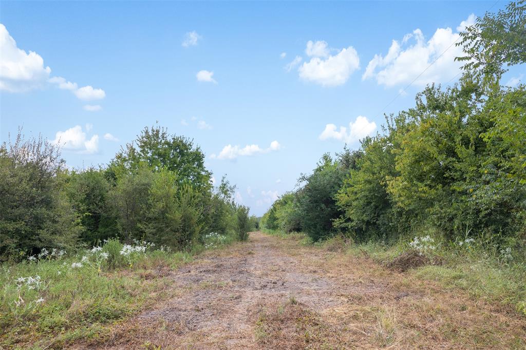 A030G P Varela-Groesbeck - Land