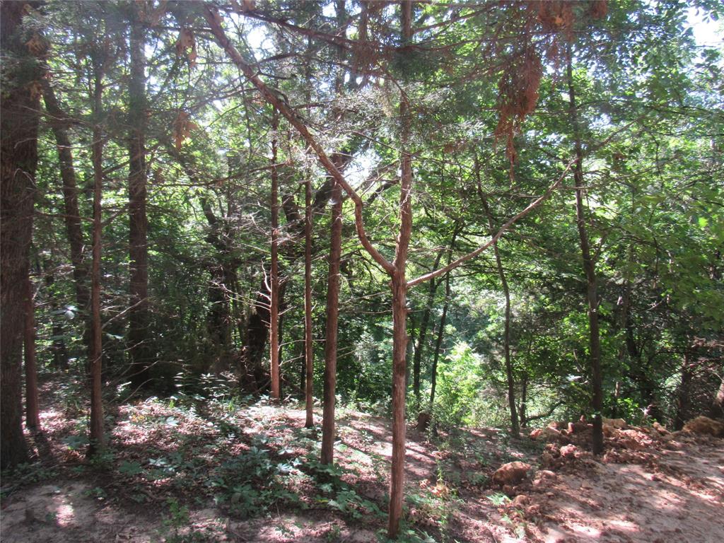 Hi-Land Shores - Land