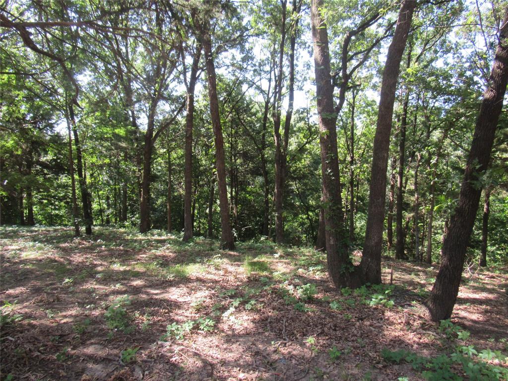 Hi-Land Shores - Land