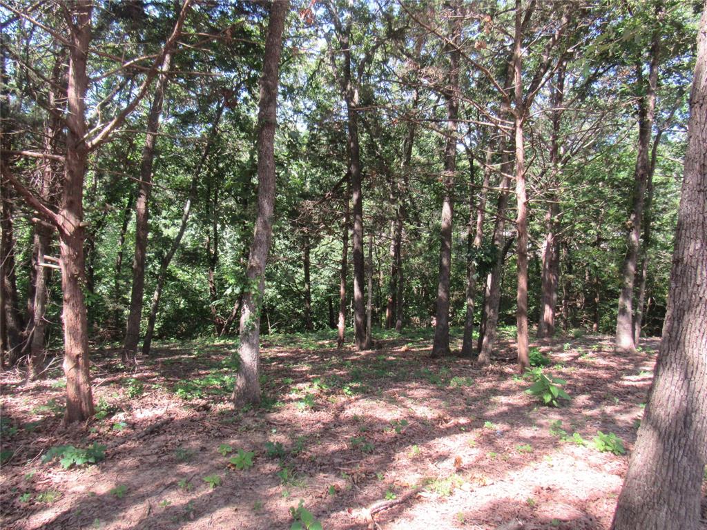 Hi-Land Shores - Land