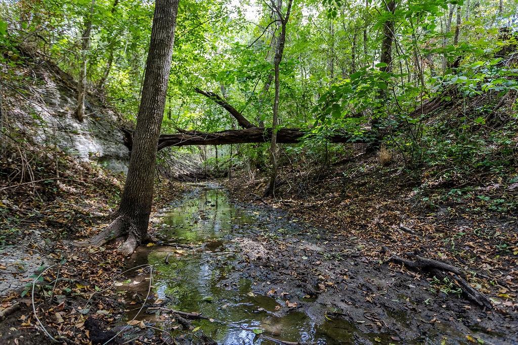 5927 Wolf Trail