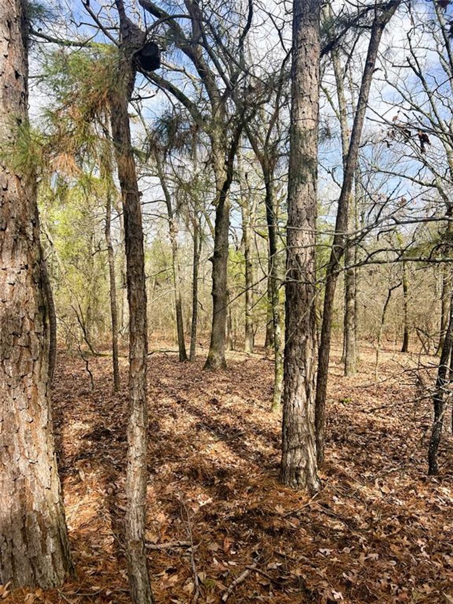 Winnsboro, Texas - Wood County, TX - Land for sale - 21.5 acres of secluded, and heavily wooded acreage with utilities on site! The property is a hunter's dream, yet there are several areas where you could build a dream home or a little cabin in the woods. An artesian spring runs across the property as well as plenty of red oak, white oak & hickory trees. If you are looking for privacy off the beaten path,look no further! Harmony ISD.