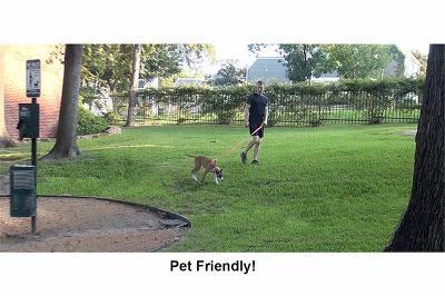 Woods On Park Lane Condos - Residential