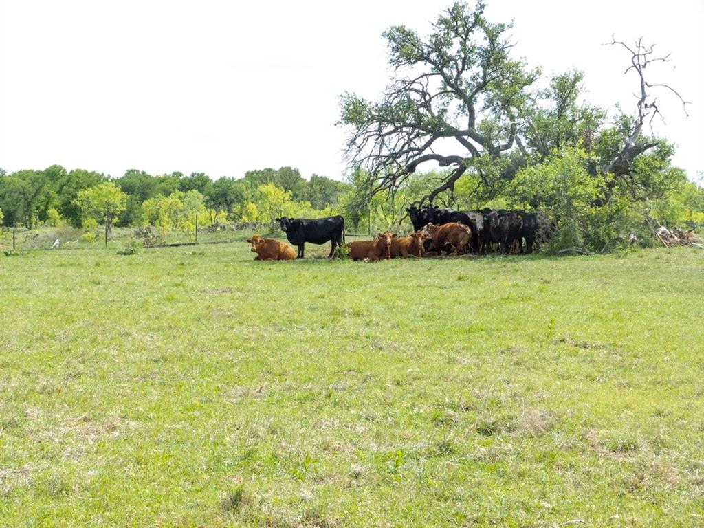 unk - Farm