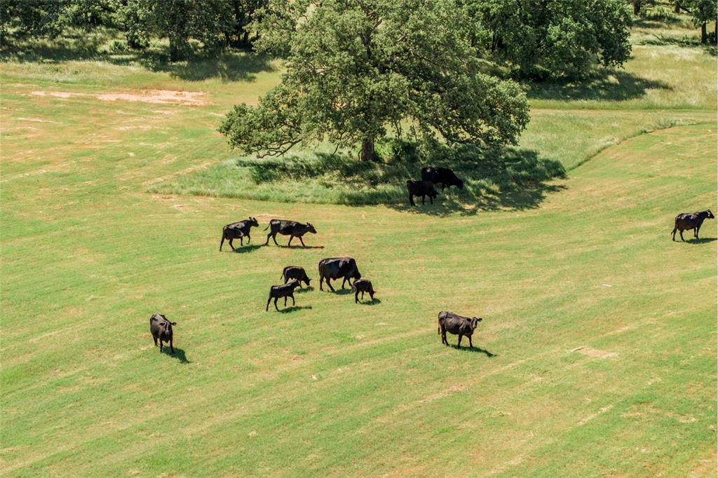 A0231A J Clark - Farm