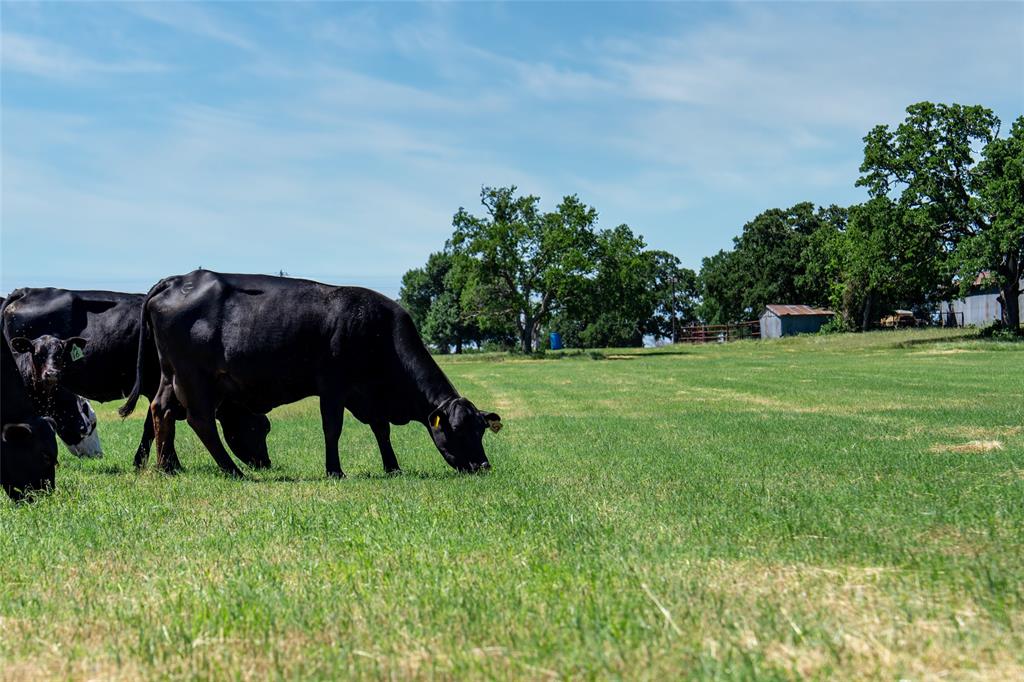 A0231A J Clark - Farm