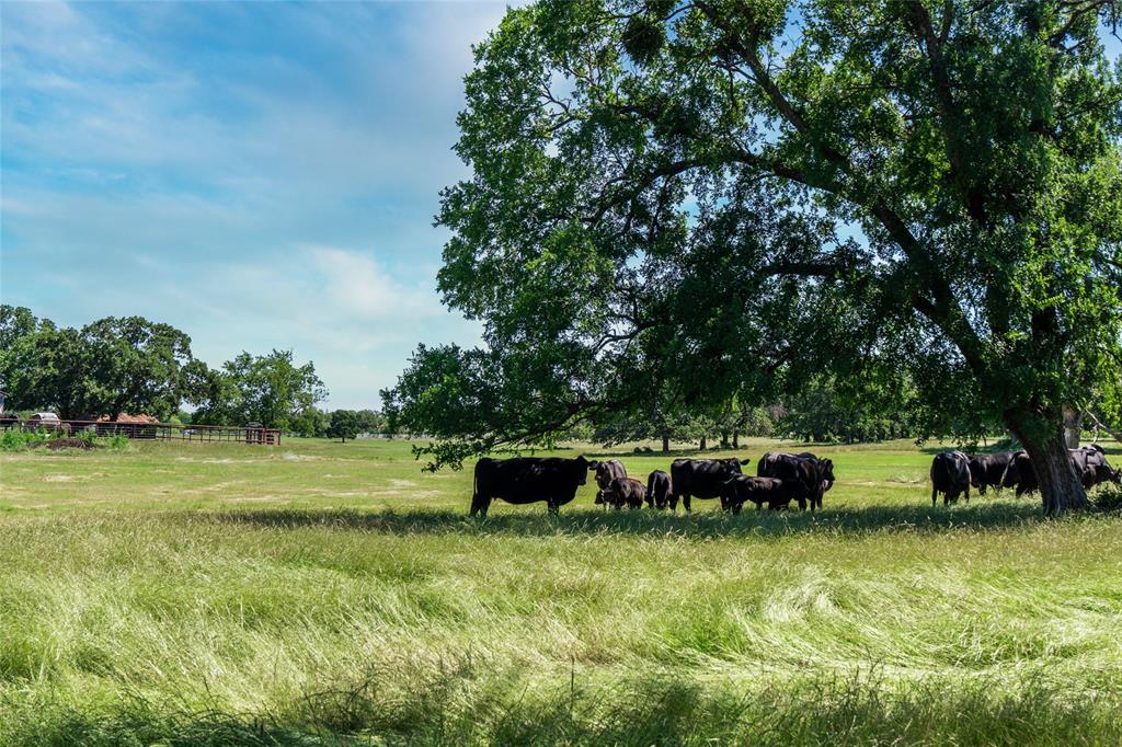 A0231A J Clark - Farm