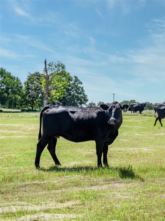 A0231A J Clark - Farm