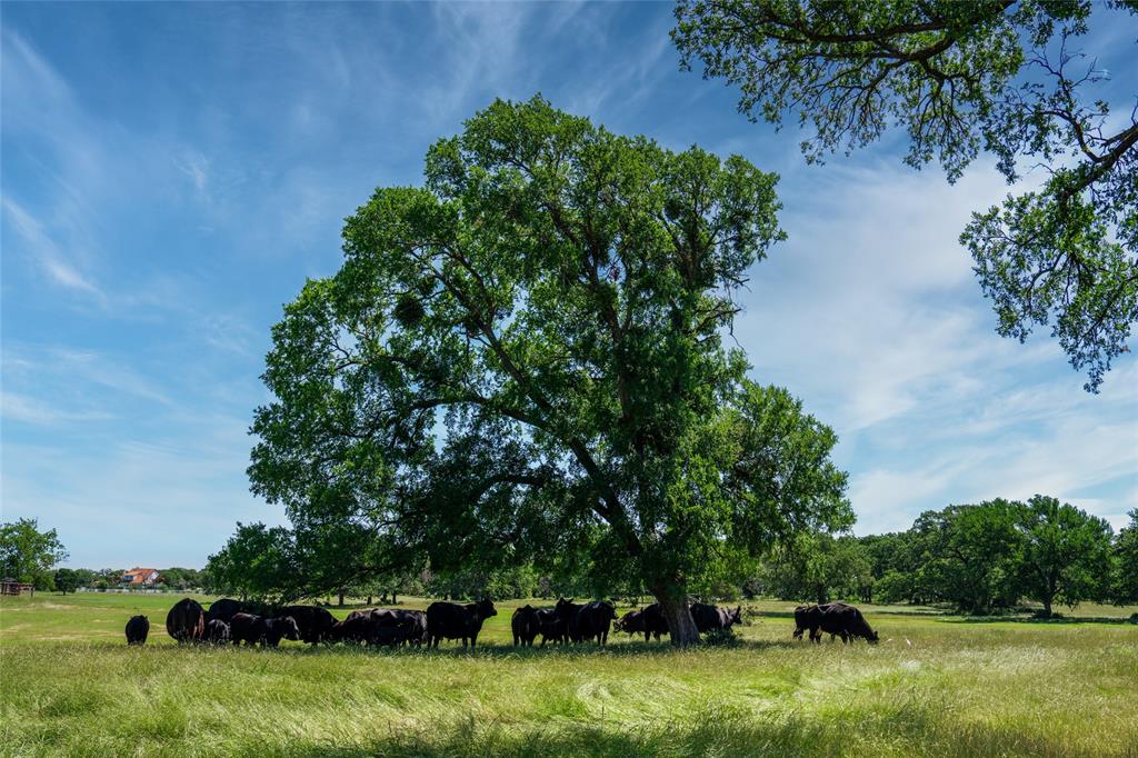 A0231A J Clark - Farm