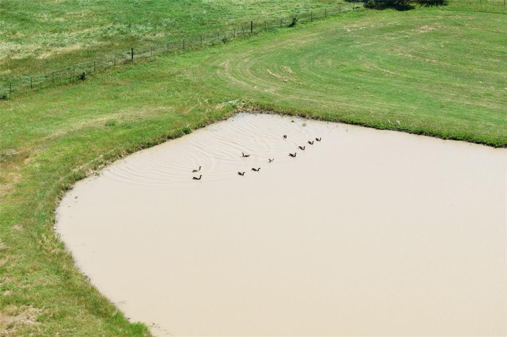 A0231A J Clark - Farm