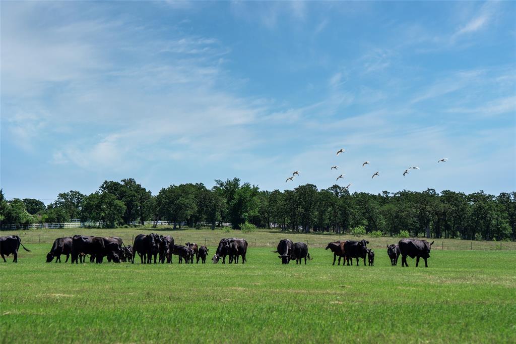 A0231A J Clark - Farm