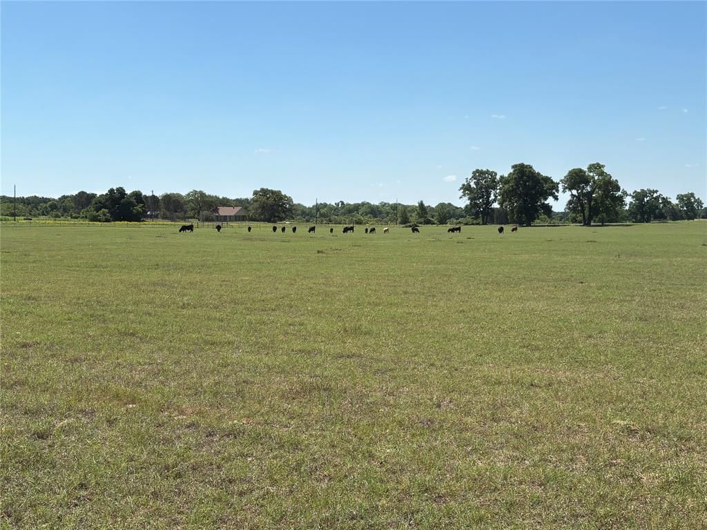 Photo of 2966 Highway 679, Gorman, TX 76454 (MLS # 21267989)