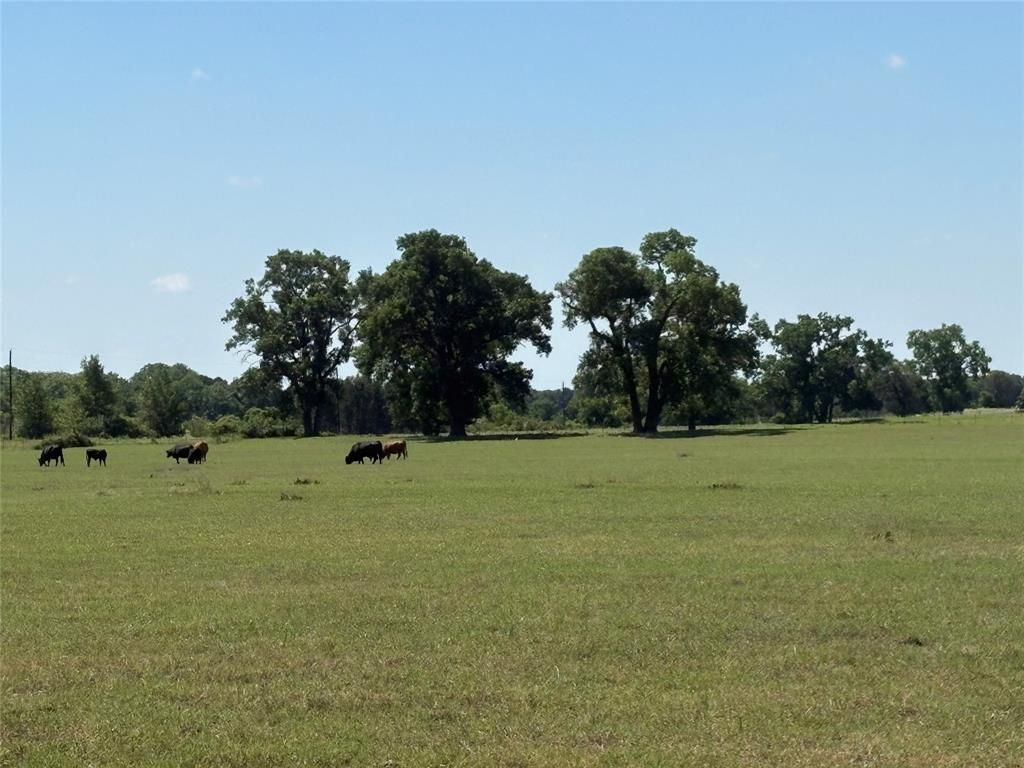 Photo of 2966 Highway 679, Gorman, TX 76454 (MLS # 21267989)