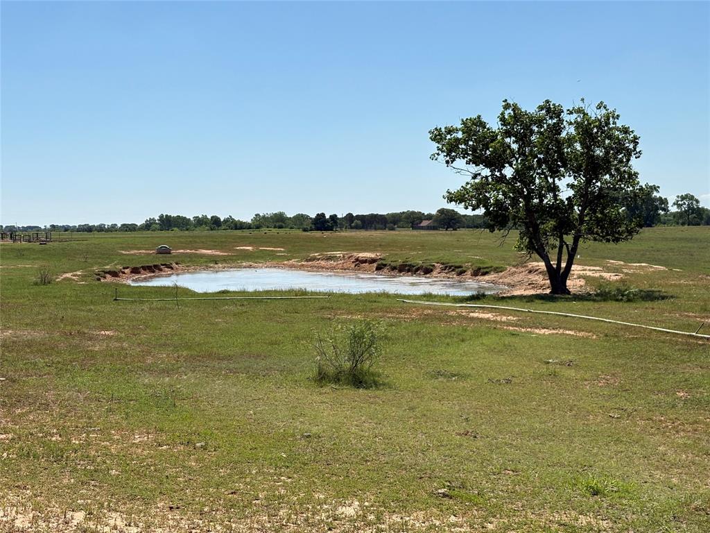 2966 Highway 679