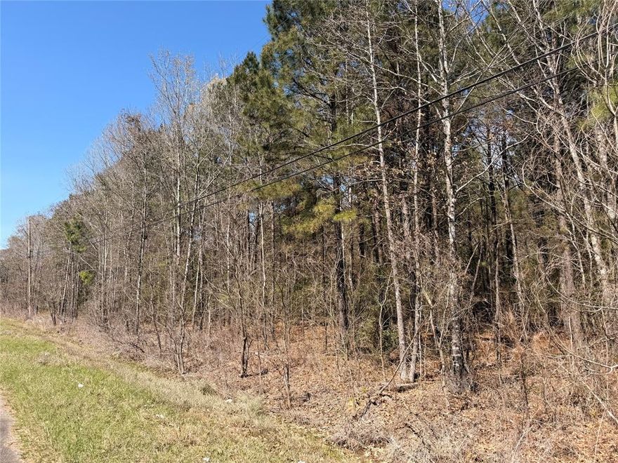 Nearly 3-acre wooded lot on Hwy 80! No known restrictions - mobile home approved! Located near I20 for easy travel. Great property for your future dream home - come and envision the possibilities today!