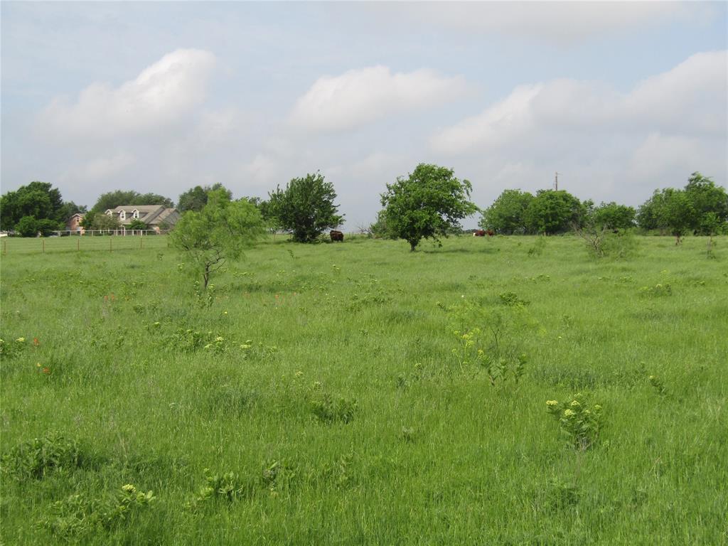 2450 FM 2450