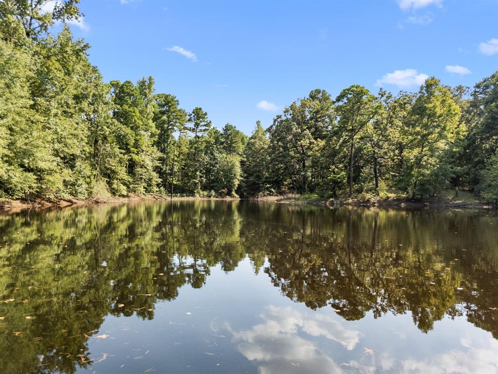 1081 County Road 3875