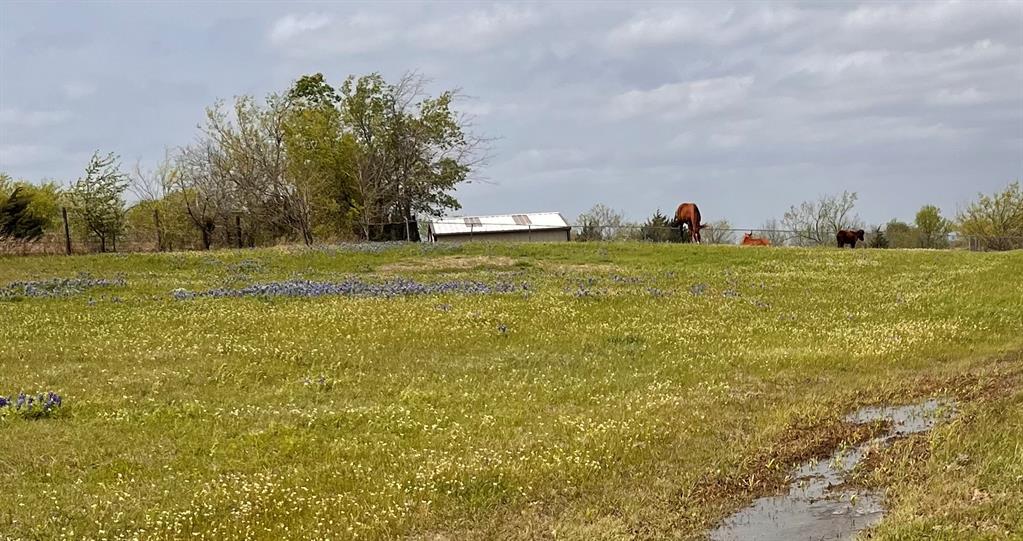 Cody Farm - Residential
