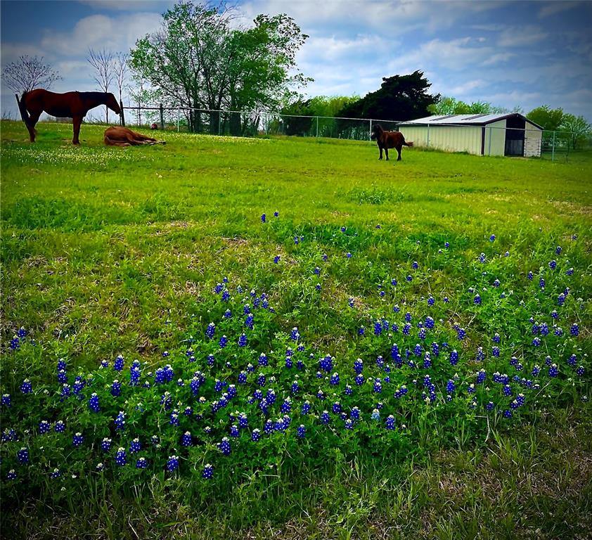 Cody Farm - Residential