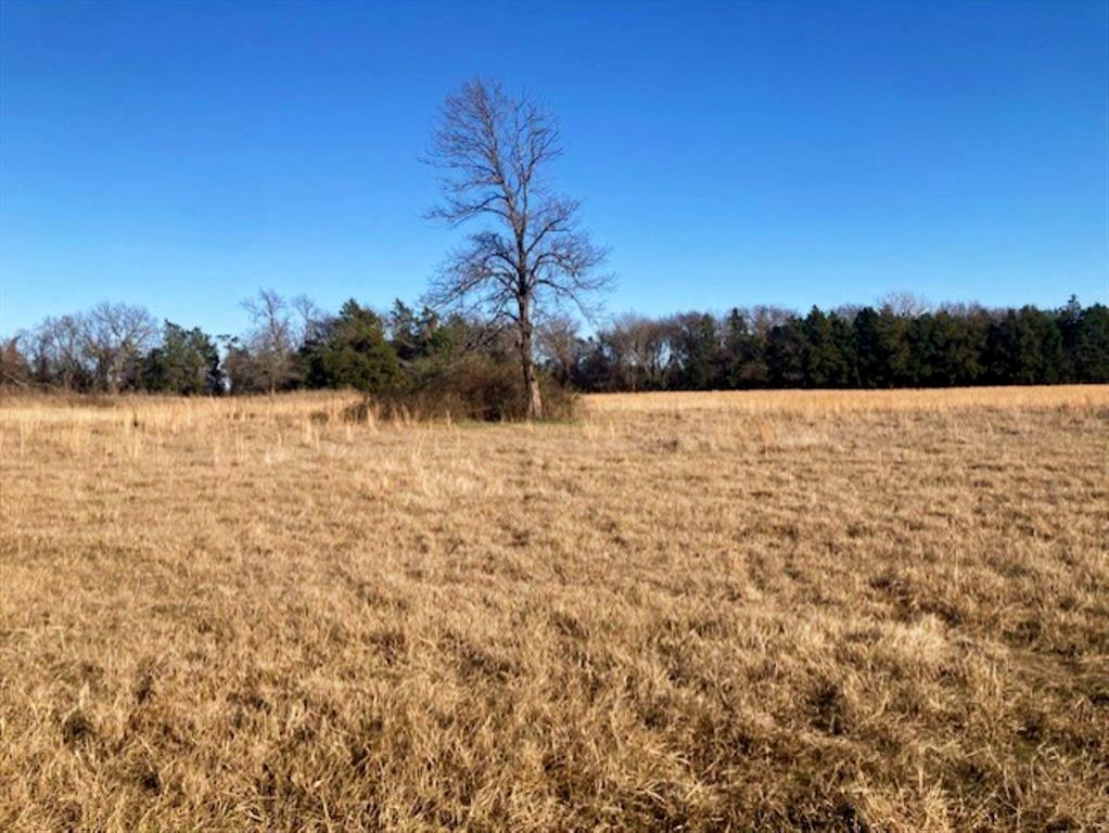 G-0327 DUGAN DANIEL A-G0327, ACRES 99.725 - Land