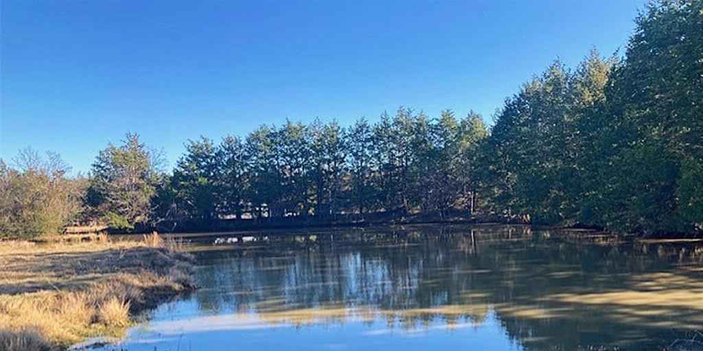 G-0327 DUGAN DANIEL A-G0327, ACRES 99.725 - Land