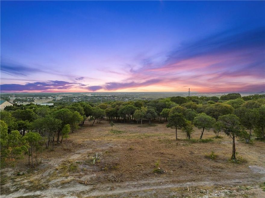 203 Merrifield Drive, a .341 acre lot in the new Badger Ridge subdivision of Woodway, is the perfect site for your dream home! Gorgeous views of the tree-tops and open skies - all the way to McGregor, TX. Midway ISD. Easy access to Hwy 84, and convenient to Hewitt Drive, Hwy 6, and more. Survey available upon request.