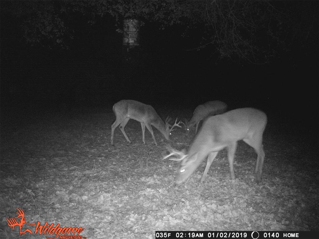 MCBRIDE JOHN - Residential