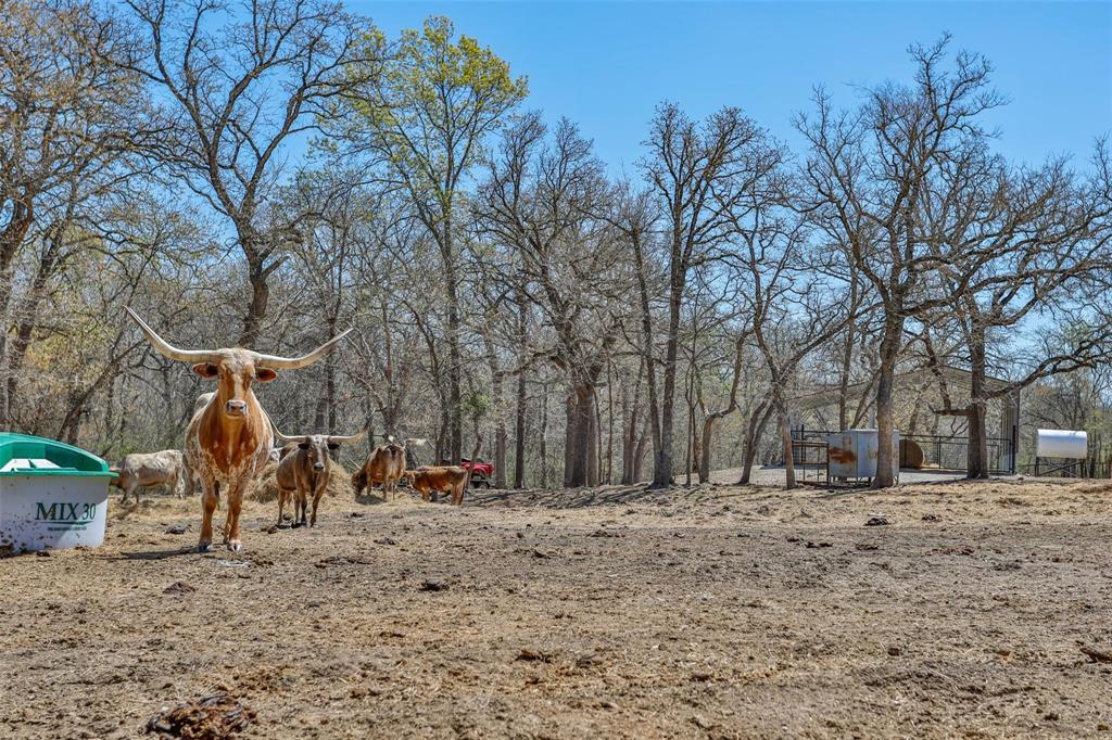 Cisco Creek Estates - Farm