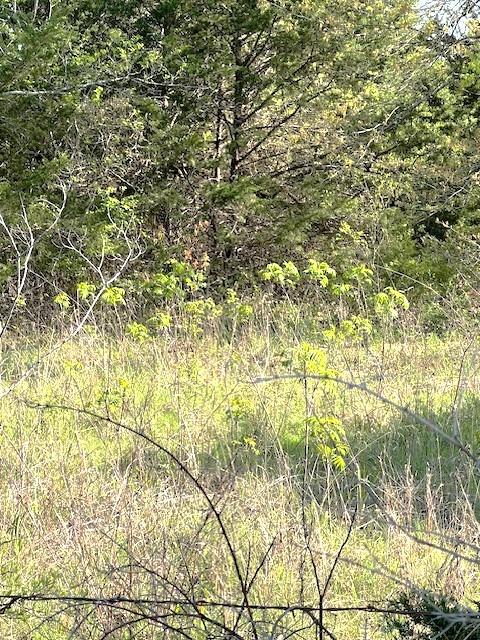 30 County Road 4515