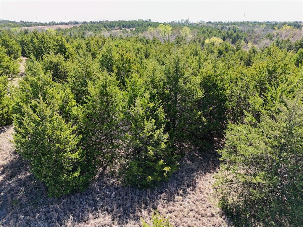 TBD County Road 670