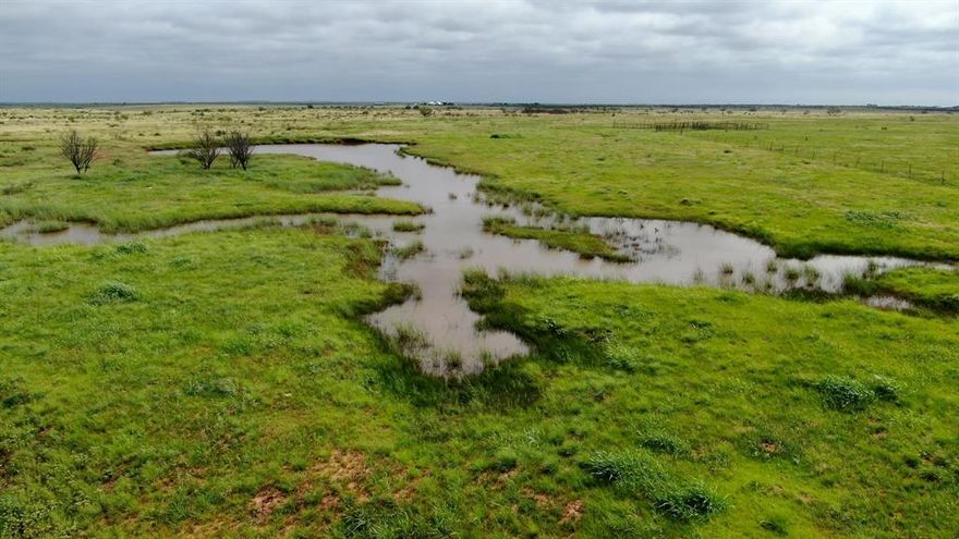 The Falls County Ranch is an exceptional cattle-grazing and investment property situated in North Central Texas. The ranch encompasses 928 acres and has been managed to preserve native grasses and control invasive mesquite growth. Cross-fencing has been implemented to support rotational grazing, and a centralized set of pipe working pens offers efficient herd management. Access to the property is convenient via Highway 79 or Falls County Road. The ranch has ample surface water, featuring five well-maintained livestock ponds that serve as reliable water sources for cattle, fishing, and waterfowl hunting. Ideally situated in the sought-after cattle ranching region of Archer County, this property is strategically located between two major livestock auctions in Wichita Falls and Graham. Additionally, it is less than two hours from the DFW Metroplex. The Falls County Ranch presents an excellent opportunity as a standalone ranch, an addition to an existing cattle operation, or a solid investment property with future potential, given its substantial road frontage and available utilities. The property is equipped with electricity and city water, including a four-inch city waterline running the entire length of the Highway 79 frontage. Other improvements include large pipe corrals, cleared grazing areas with established native grasses, good-excellent fencing, Highway 79 frontage, graveled Falls County Road frontage, and five livestock ponds. The ranch supports a variety of wildlife, including whitetail deer, quail, waterfowl, vermin, and fishing opportunities.
