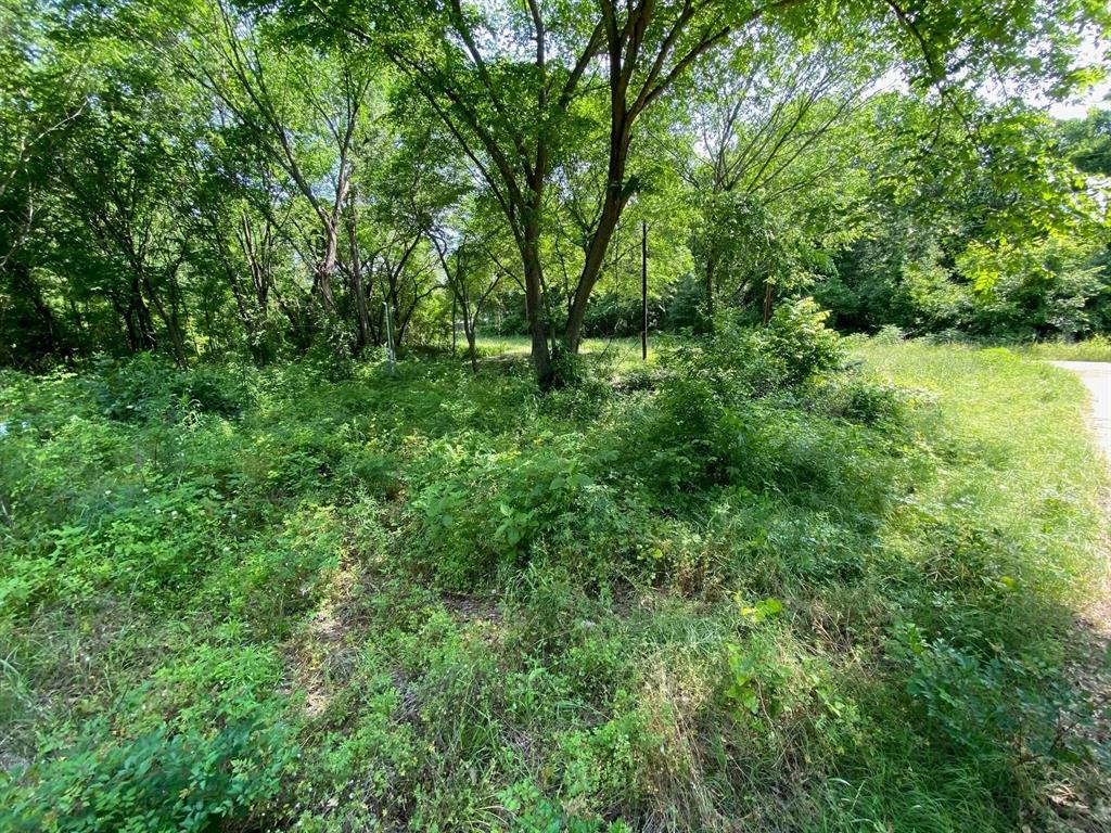 149 Lake Creek Drive