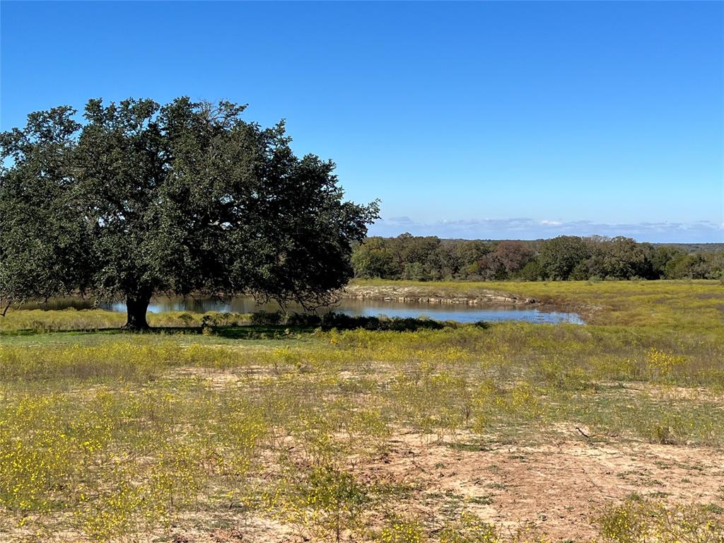 John Reese Surv A-661 - Residential