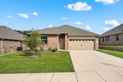 3200 Willow Terrace Lane Anna TX 75409
