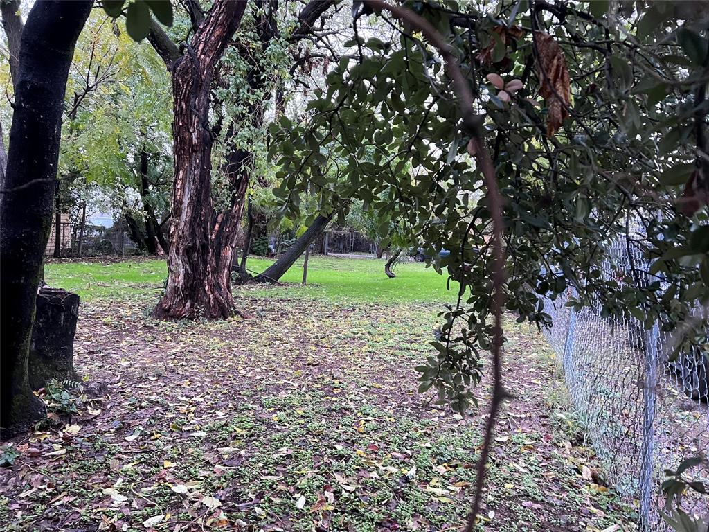 College Park Riggins - Land