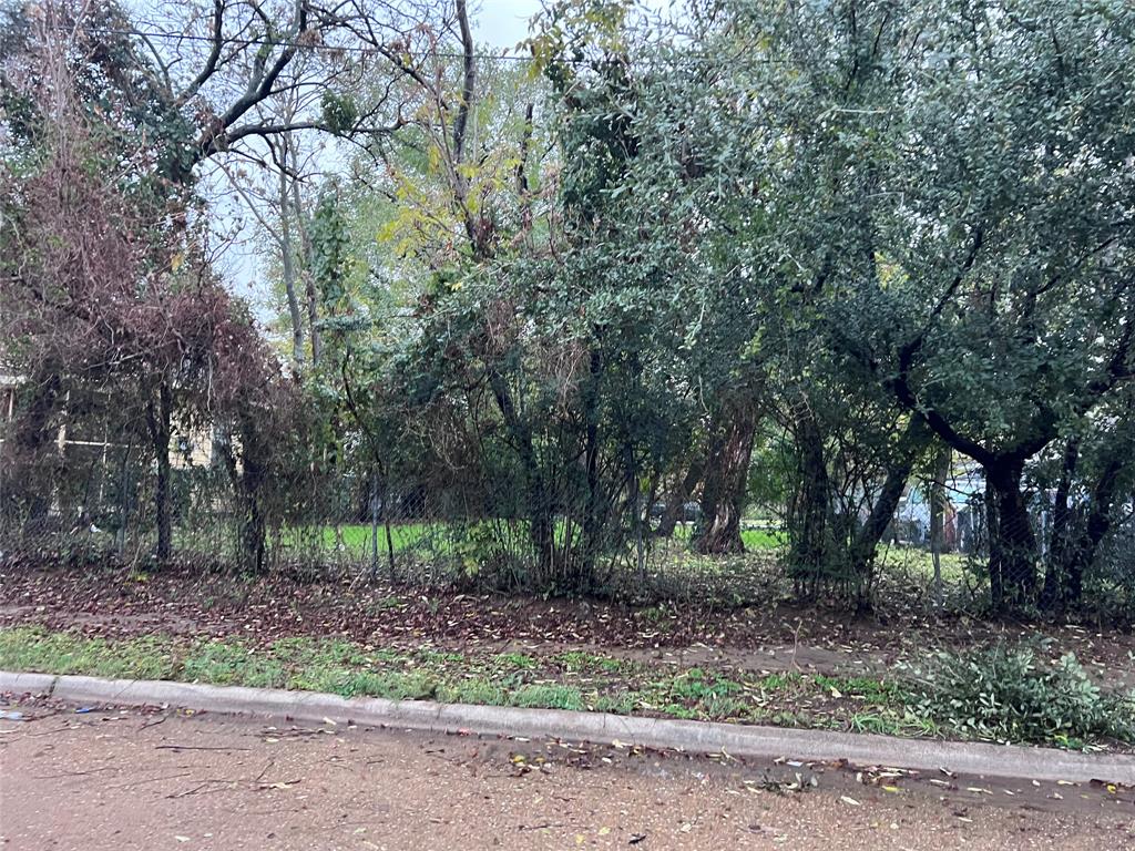 College Park Riggins - Land