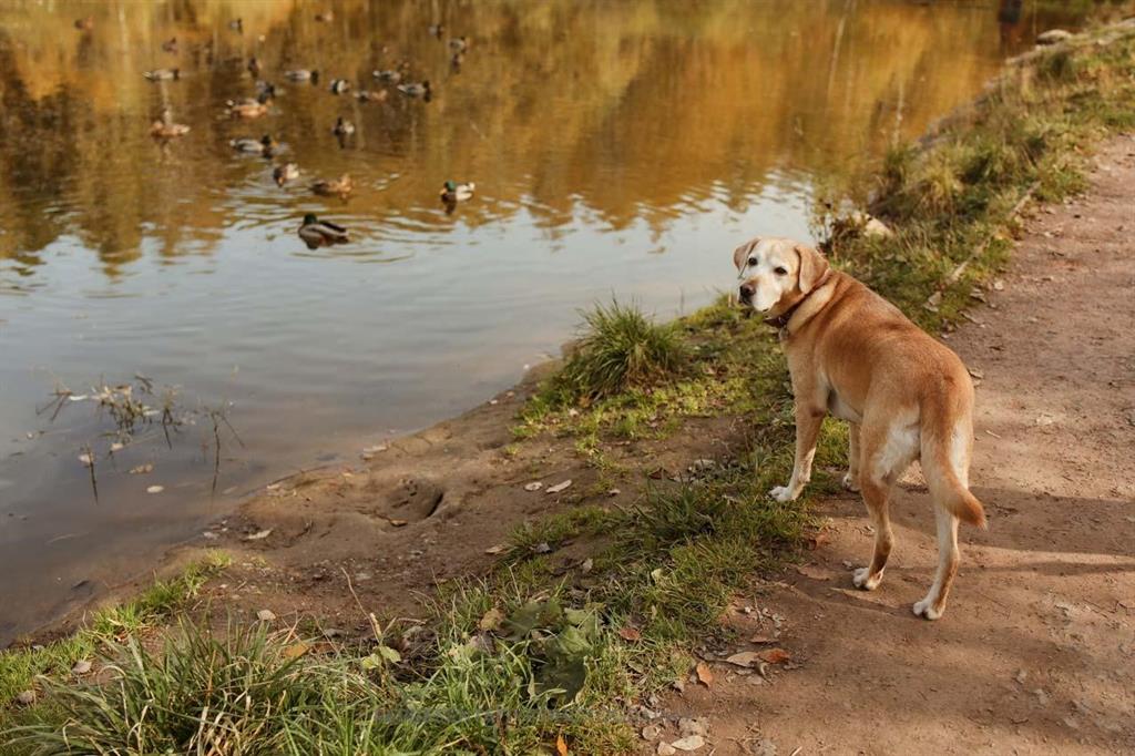 Heritage Ranch - Residential
