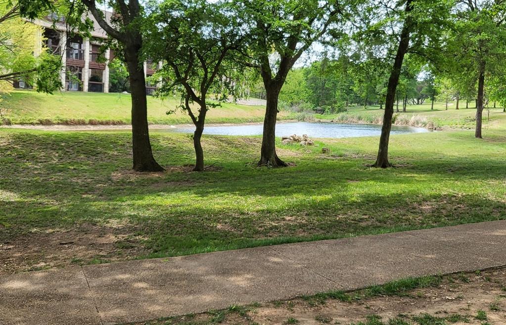 White Bluff #19 - Land