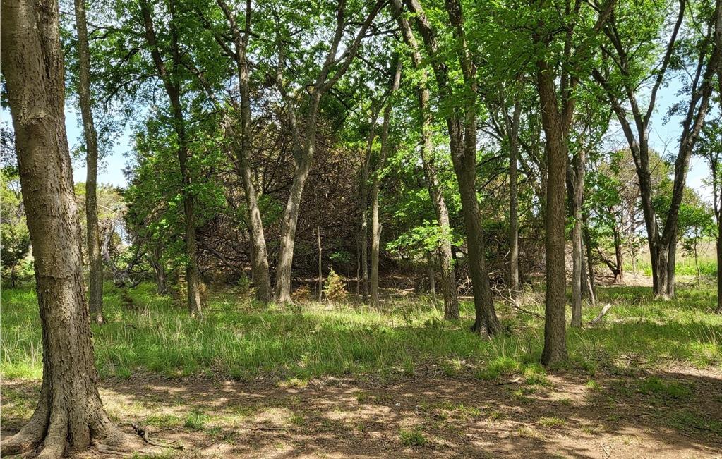 White Bluff #19 - Land