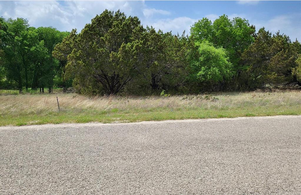 White Bluff #19 - Land