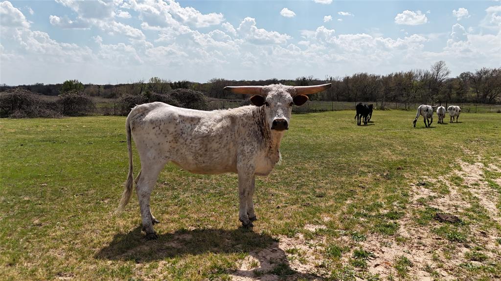 George Brookshire Surv Abs 145 - Land