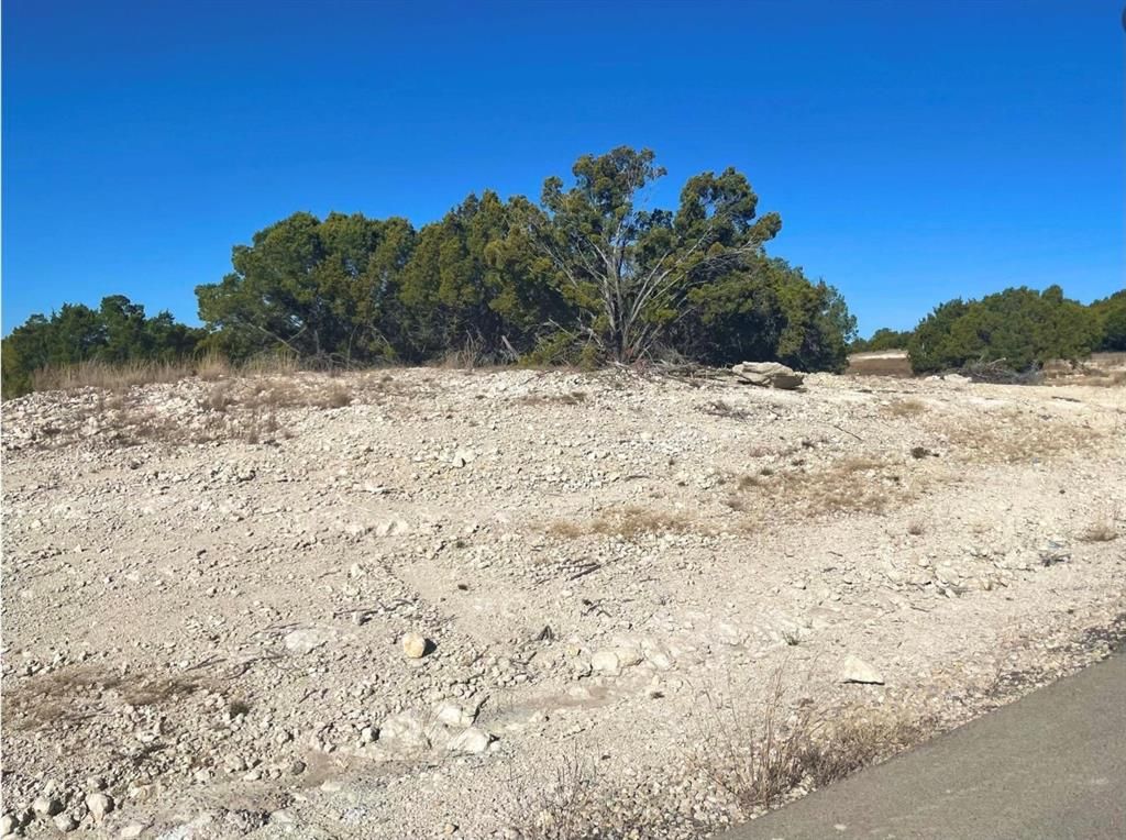 Photo of 195 Cedar Mountain Drive, Weatherford, TX 76085 (MLS # 21215298)