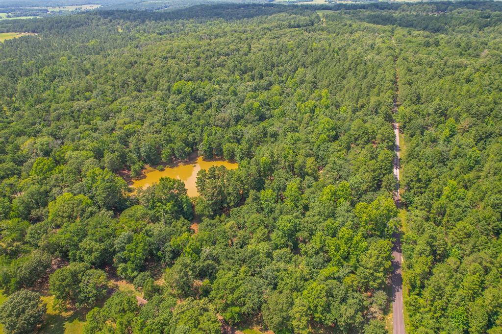 10933 County Road 4233