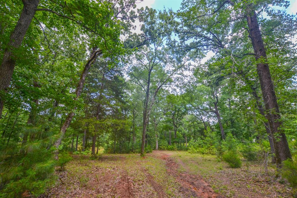10933 County Road 4233