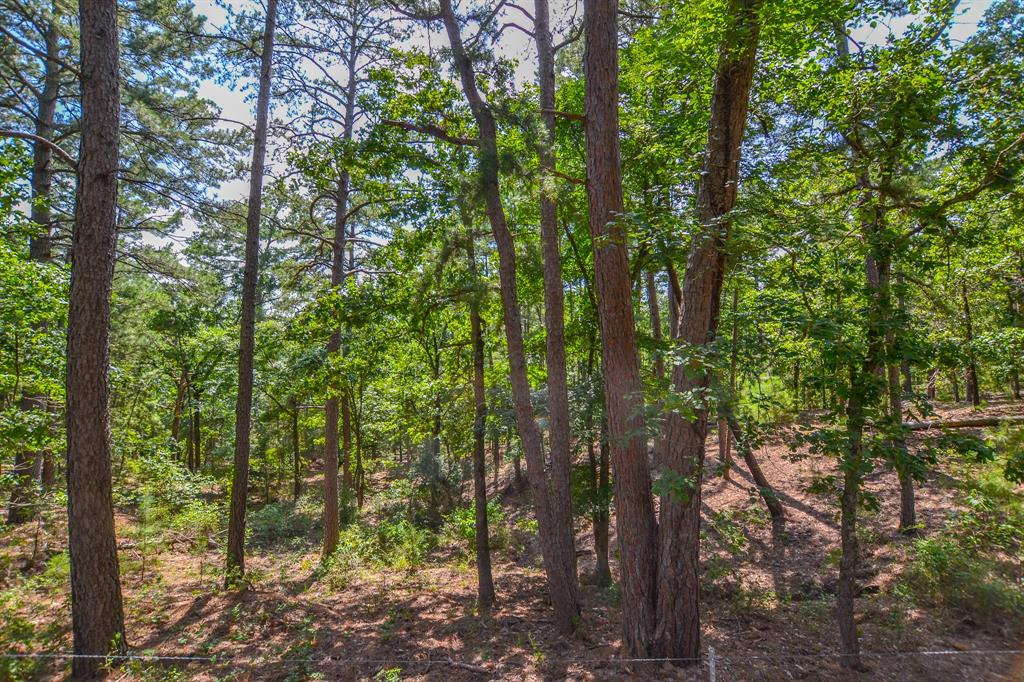 10933 County Road 4233