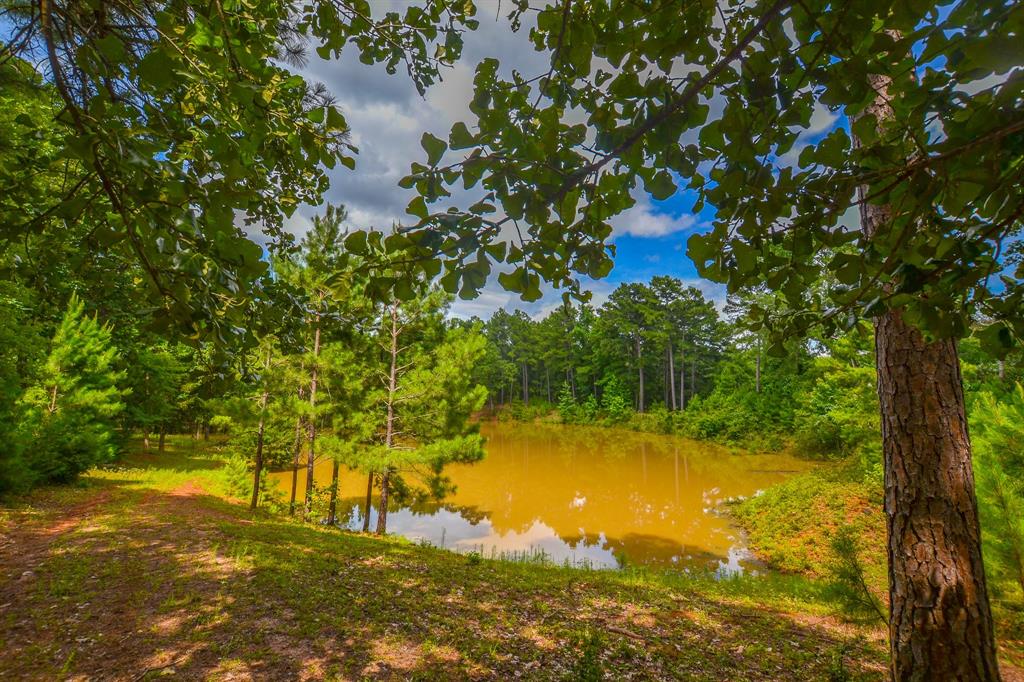 10933 County Road 4233