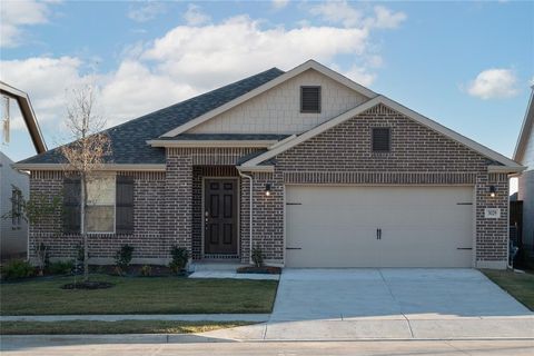 3029 Flintrock Lane Anna TX 75409